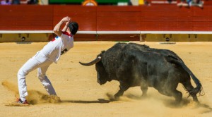 Dodging a bull as a metaphor for the entrepreneurial mindset